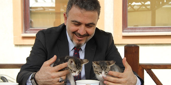 Belediye Başkanı, makam aracında 'mama' taşıyor