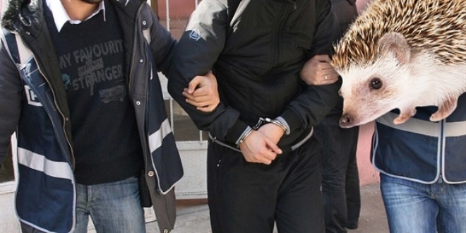 Hırsızlara 'kirpi' operasyonu