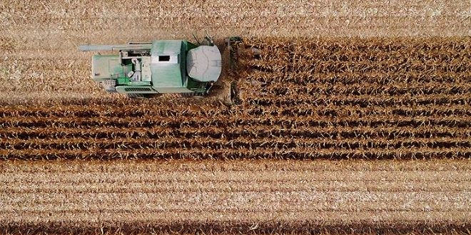 Bakan Fakıbaba'dan çiftçiye erken ödeme müjdesi