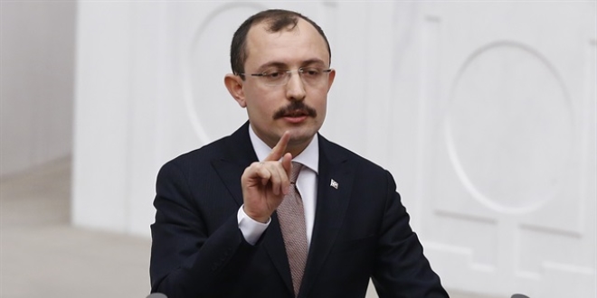 AK Parti'li Muş'tan 'Afrin operasyonu' açıklaması