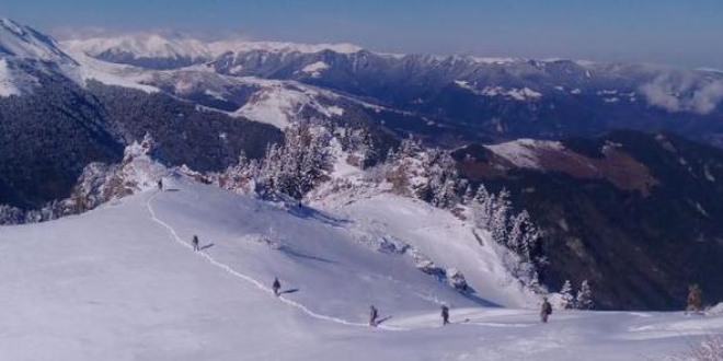 Trabzon'da, terör örgütü PKK'ya yönelik operasyon