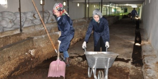 Bileziklerini satıp bu işe girdiler, ihya oldular!