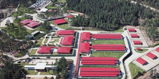 Dünyanın ikinci büyük sahipsiz hayvan bakımevi hizmete açıldı