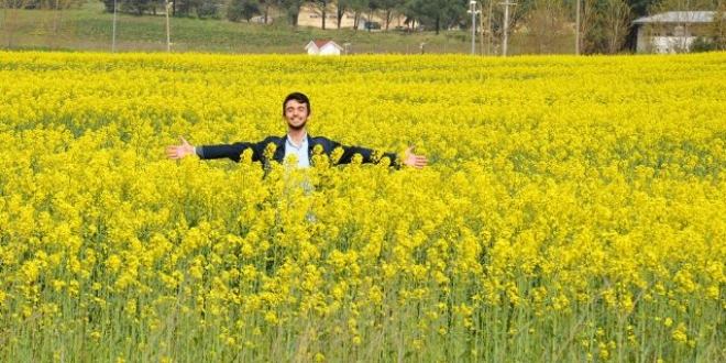 Üniversitenin kanola tarlası fotoğraf stüdyosu gibi