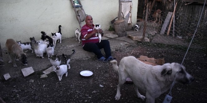 Emekli maaşıyla 25 kedi ve 15 köpek besliyor