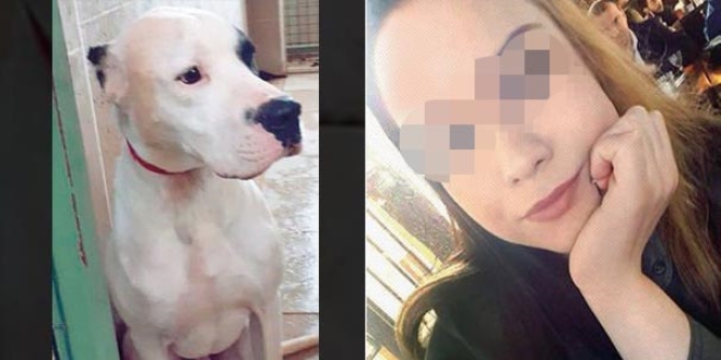 Köpeğin saldırısına uğrayan kadının başına gelmeyen kalmadı