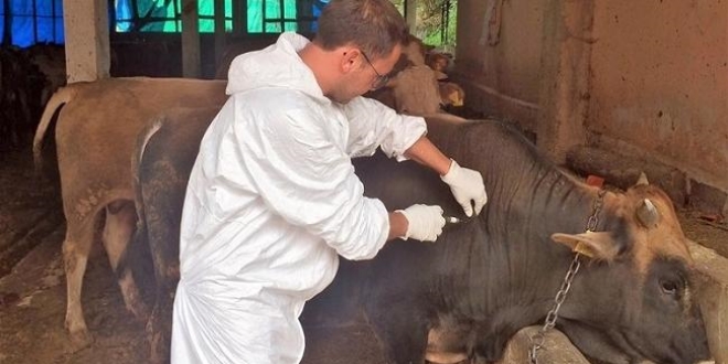 Tarım Bakanlığı aşı ücretlerini yeniden düzenledi