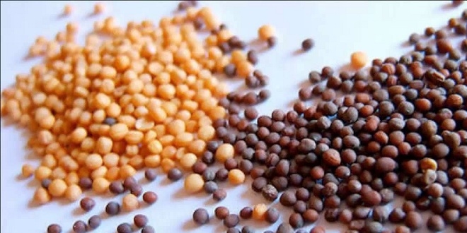 G�bek ya�lar�n� eriten 10 baharat