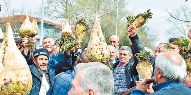Şekere ithalat yolu açıldı