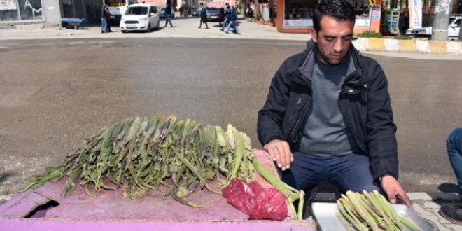 20 TL'den satılıyor! Rağbet var