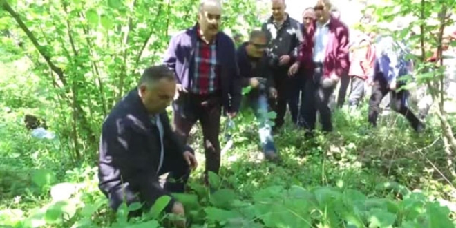 Düzce'de protokol üyelerinin 'şifalı ot' mesaisi