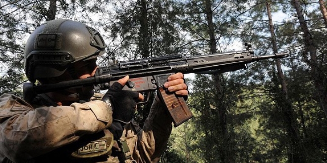 Amanos Dağları'nda 29 terörist etkisiz hale getirildi