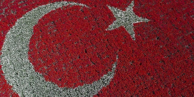 Laleden Türk bayrağı dünya rekoru getirdi