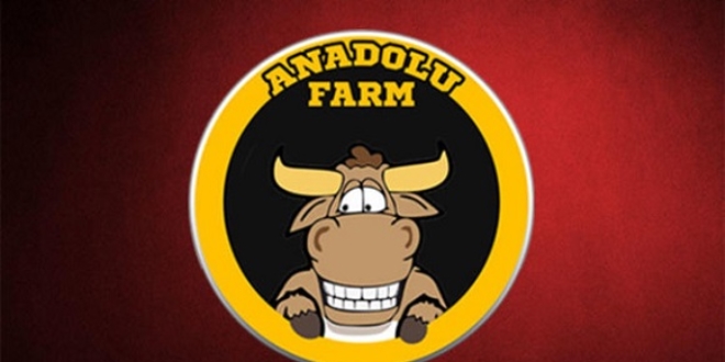 Anadolu Farm soruşturmasında Ekolium A.Ş.'nin muhasebecisine gözaltı