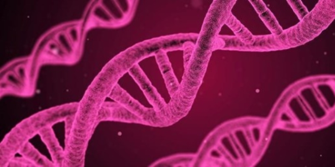 Hücrelerde DNA'nın yeni bir yapısı keşfedildi
