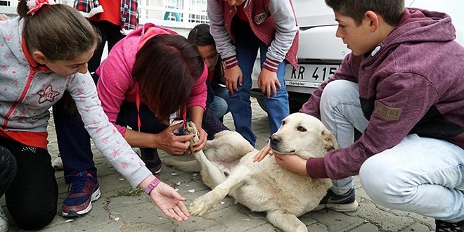 Ders aralarnda sokak hayvanlarn besliyorlar