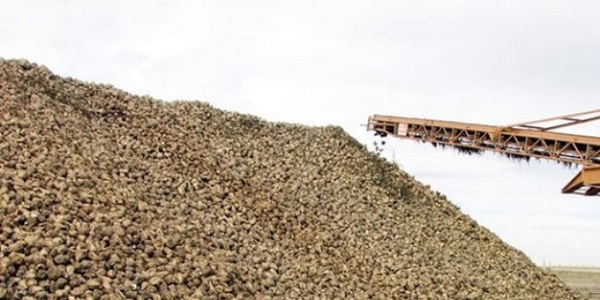 Tatilcilere g�re de 'ikinci tur' ihtimali yok