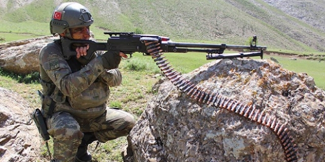 Bitlis'te bir terörist etkisiz hale getirildi