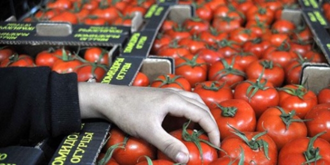 Rusya, Trk domatesine ynelik kstlamalar kaldrabilir