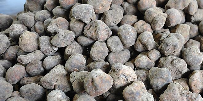 Fiyat�na ra�men tutkunlar� 'keme'den vazge�miyor