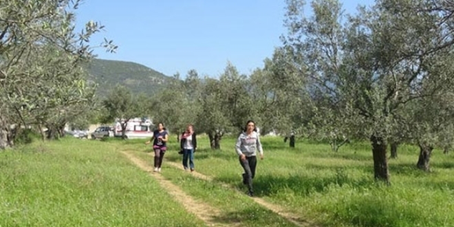 8 g�nd�r kay�pt�! Cesedi zeytinlikte bulundu