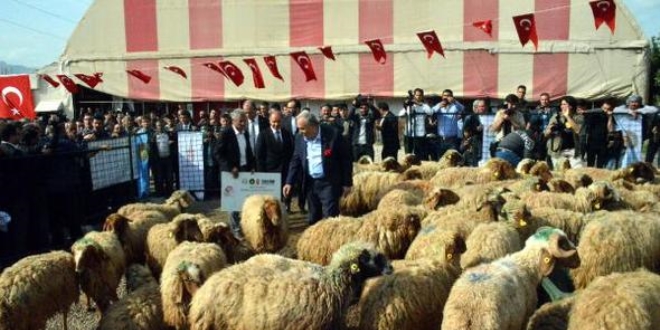 Fak�baba: Eskiden ��rnak'a i�e yaramaz b�rokratlar g�nderiliyordu