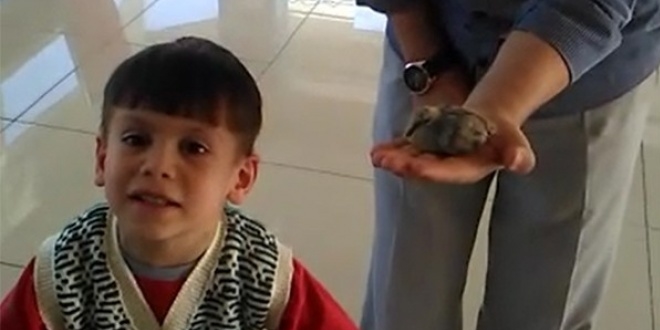 5 yaşındaki çocuk yavru kuşun hayatını kurtardı