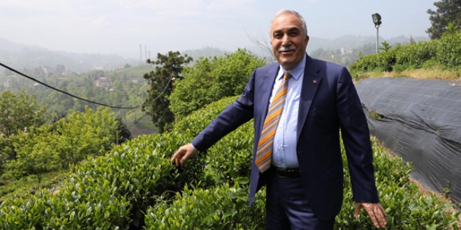 Fakıbaba: Organik çayımız dünyada marka olacak