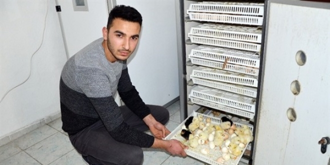 Hobi için başladı, şimdi ihracatını yapıyor