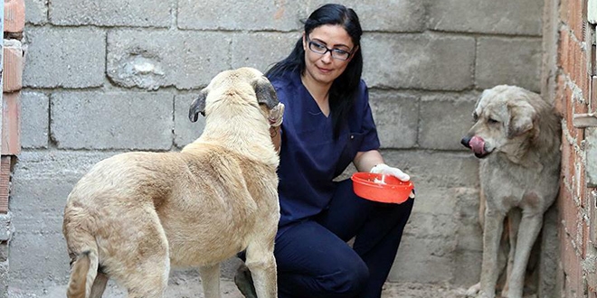 �l�m� bekleyen k�pekleri hayata ba�lad�