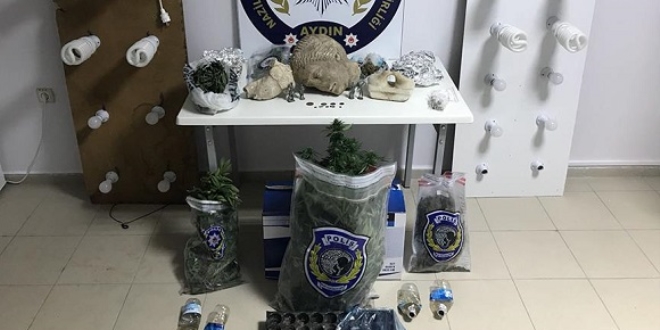 Elbise dolabnda kenevir yetitiren zanl tutukland