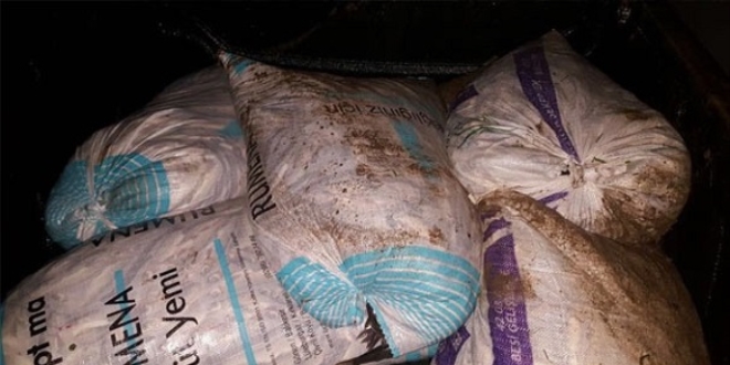 Van'da ka�ak avlanm�� bir ton bal�k ele ge�irildi