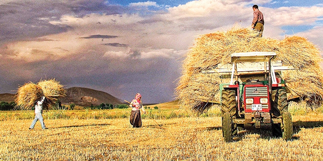 Türkiye'nin çiftçileri 125 milyona bakıyor