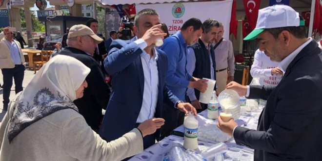 30 ton sütü bedavaya dağıttılar