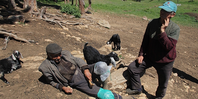 80 ya��nda, varl�k i�inde sefalet �ekiyor