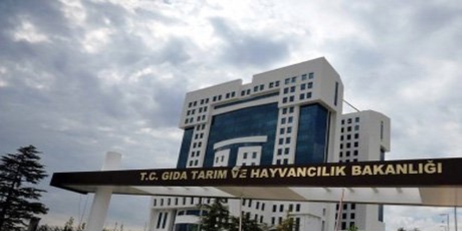 Veteriner Tıbbi Ürünler Hakkında Yönetmelikte Değişiklik
