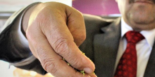 Antep fıstığı 220 liraya çıktı, tatlıcılar protesto için satmamaya başladı