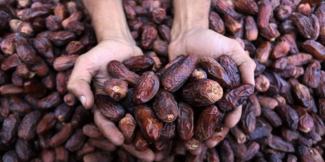 Hurma ithalat�na 5 y�lda 143 milyon dolar harcand�