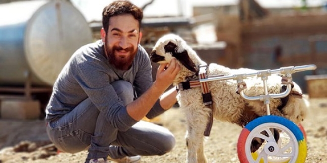 'Hayat tamircisi' bu kez fel�li kuzuya y�r�te� yapt�