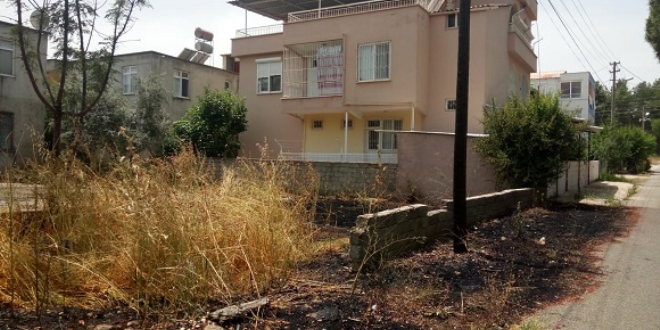 Yılan korkusu yangın çıkarttı