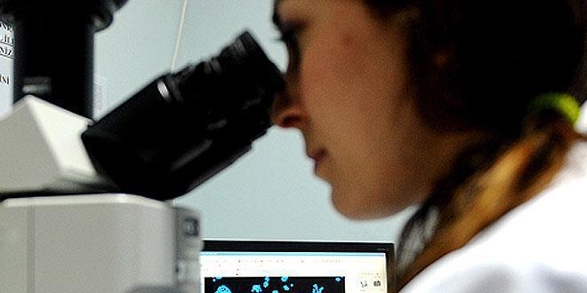 Yüksek vücut sıcaklığı savunma sistemini hızlandırıyor