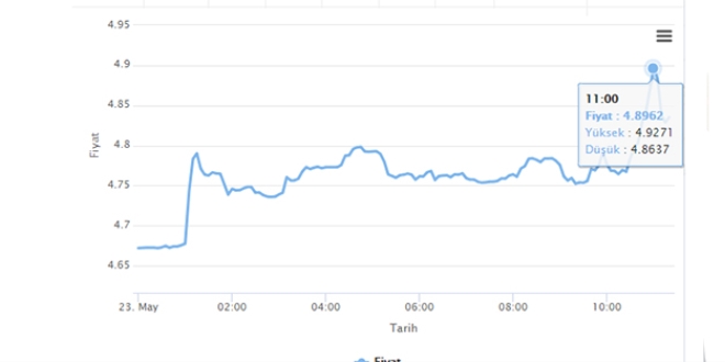 Dolar 4,92'nin zerine kp, sonra da geriledi