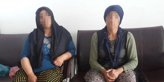 8 yaşındaki çocuk bonzaiden hastanelik oldu