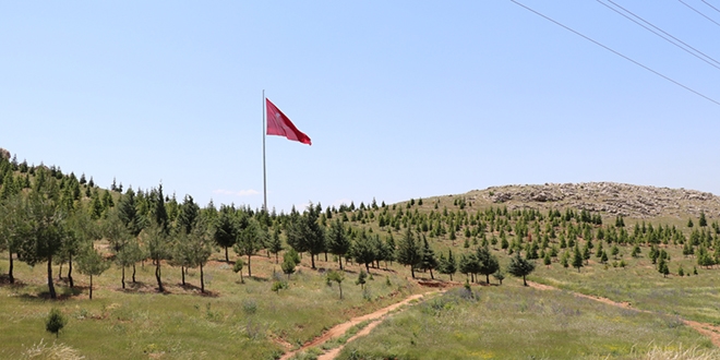 Terörden arındırılan dağlar yeniden yeşerecek