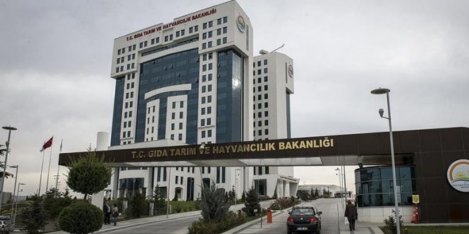 Tarım Bakanlığından 'Deli Dana' açıklaması