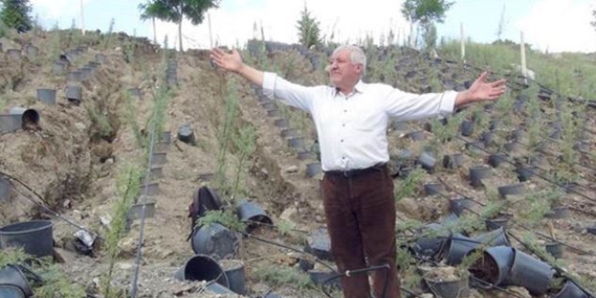 15 yıllık emeği 15 dakikada yok oldu
