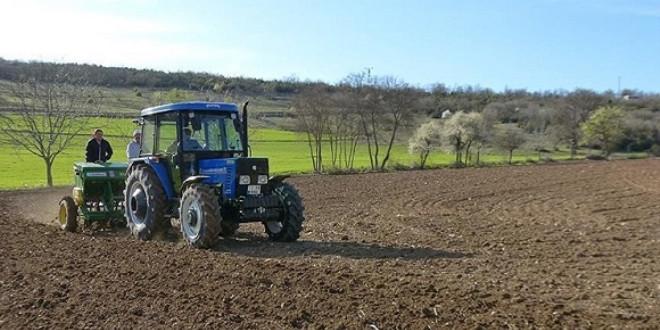 TMO, yurt d���ndan 140.000 ton m�s�r ald�