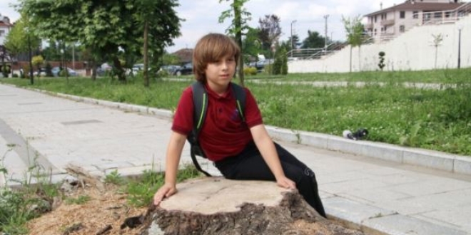 Ağacın kesilmesine ağlayan çocuğa ağaç dikme sözü