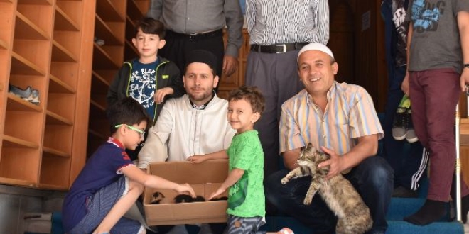Camide yavrulayan kediye cemaat sahip çıktı