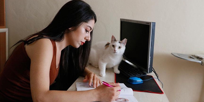 Gökçe öğretmen sokak hayvanları için üniversite okuyor